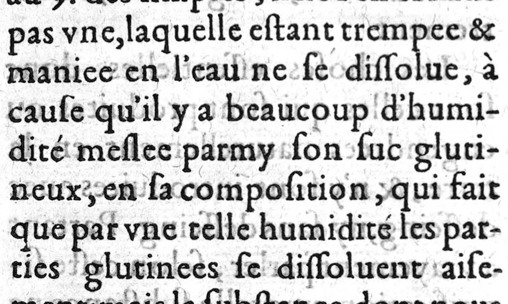 An illustration from Antigigantologie ou contre discours de la grandeur des géans..., 1618, leaf 67
