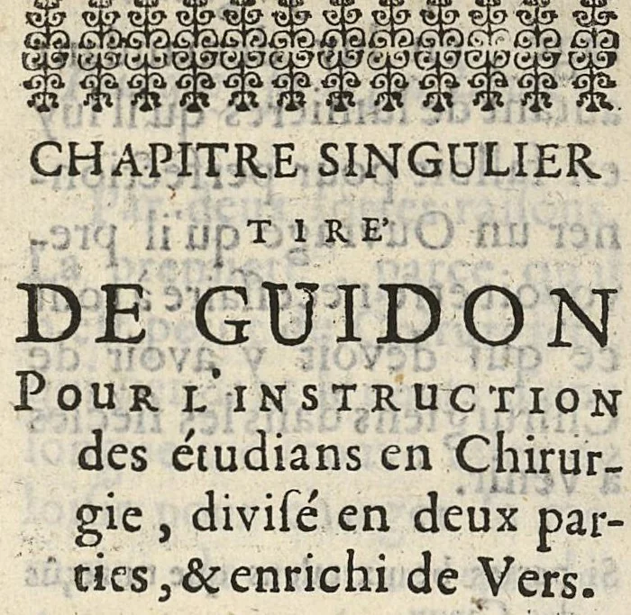 An illustration from L'anatomie de la teste et de ses parties [suivi de ] Chapitre singulier tiré de Guidon pour l'instruction des etudians en chirurgie, divisé en deux parties, et enrichi de vers, 1689, leaf 102