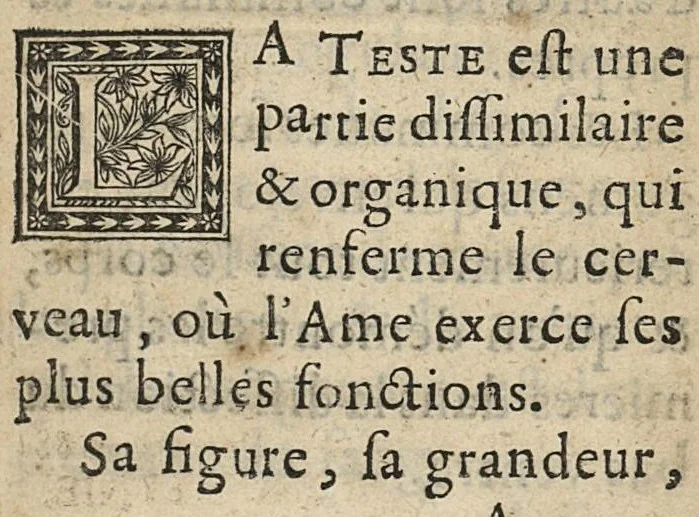 An illustration from L'anatomie de la teste et de ses parties [suivi de ] Chapitre singulier tiré de Guidon pour l'instruction des etudians en chirurgie, divisé en deux parties, et enrichi de vers, 1689, leaf 16