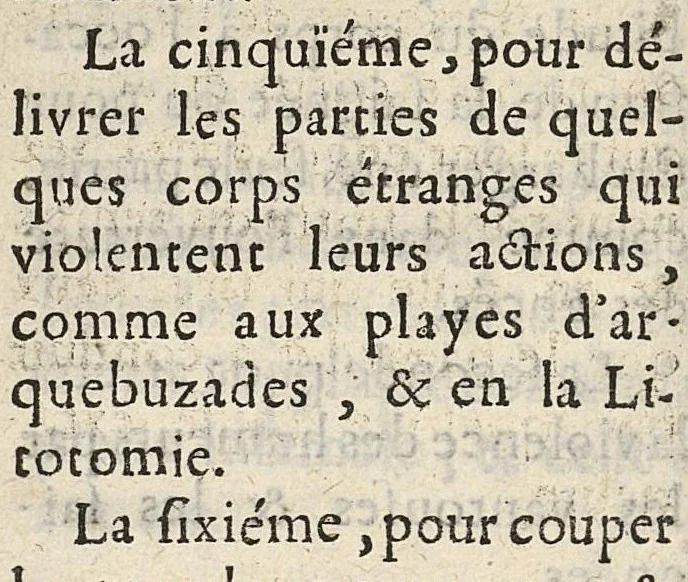 An illustration from L'anatomie de la teste et de ses parties [suivi de ] Chapitre singulier tiré de Guidon pour l'instruction des etudians en chirurgie, divisé en deux parties, et enrichi de vers, 1689, leaf 175