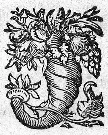 An illustration from Nicolai Stenonis Observationes anatomicae quibus varia oris, oculorum et narium vasa describuntur, novique salivae, lacrymarum et muci fontes deteguntur, et novum nobilissimi Bilsii de lymphae motu et usu commentum examinatur et rejicitur, 1662, leaf 0