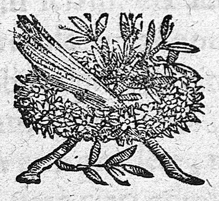 An illustration from Persii Trevi ad librum De sero lactis Stephani Roderici,... declamationes seu privatae quaedam ac domesticae exercitationes. Editio secunda, quam auctor suam agnoscit, auxit, emendavit, 1634, leaf 0