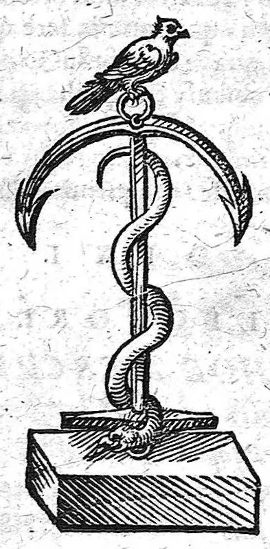 An illustration from De formandis medicinae studiis et schola medica constituenda, 1607, leaf 38