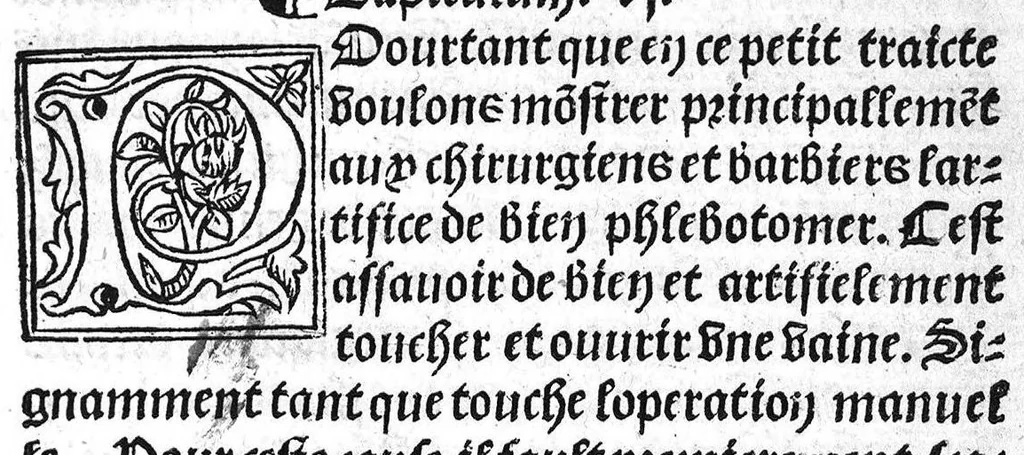 An illustration from Phlebotomie artificielle utile aulx medecins, et tresnecessaire à tous chirurgiens et barbiers instructive quant et comment il fault artificiellement phlebotomer toutes veines du corps humain, novellement composee par Mons. maistre Guilliaulme du Puis, medecin ordinaire du tresvenerable et noble convent de sainct Chiefz. Et citoyen de la tresrenommee Cite de Grenoble en Daulphine,, 1536, leaf 22