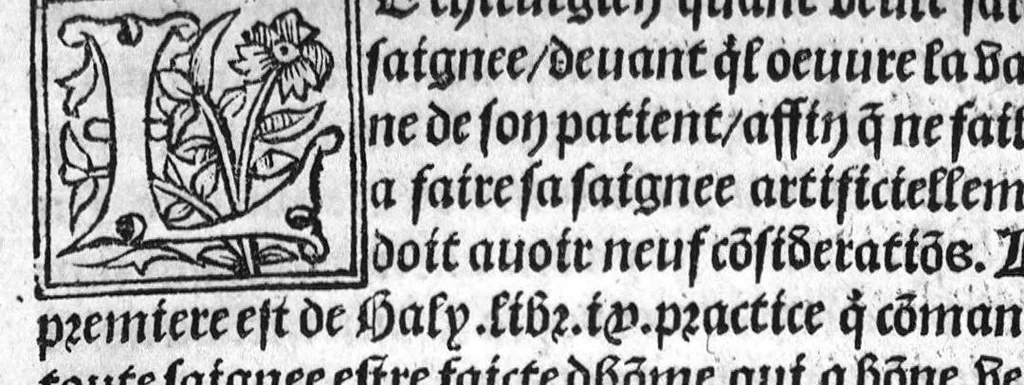 An illustration from Phlebotomie artificielle utile aulx medecins, et tresnecessaire à tous chirurgiens et barbiers instructive quant et comment il fault artificiellement phlebotomer toutes veines du corps humain, novellement composee par Mons. maistre Guilliaulme du Puis, medecin ordinaire du tresvenerable et noble convent de sainct Chiefz. Et citoyen de la tresrenommee Cite de Grenoble en Daulphine,, 1536, leaf 47