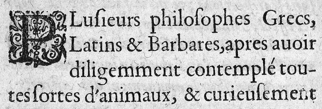 An illustration from Discours de la phlebotomie ou est monstré en bref, les deux temps d'icelle…plus un traité des crises,..., 1621, leaf 23