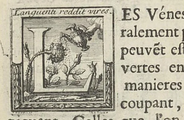 An illustration from L'art de saigner, accommodé aux principes de la circulation du sang..., 1686, leaf 143