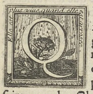 An illustration from L'art de saigner, accommodé aux principes de la circulation du sang..., 1686, leaf 257