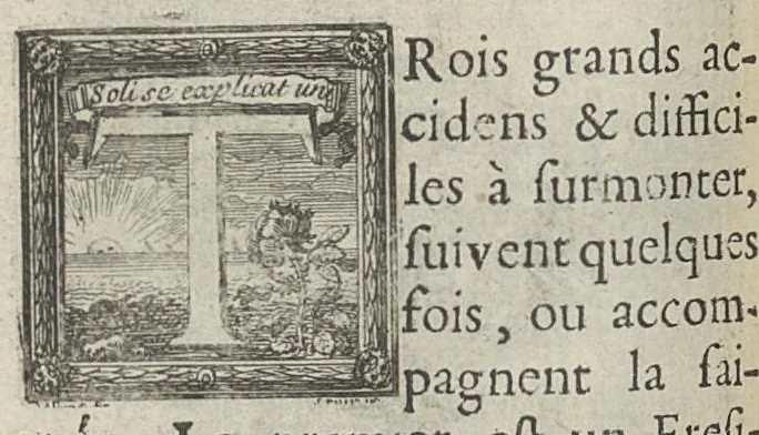 An illustration from L'art de saigner, accommodé aux principes de la circulation du sang..., 1686, leaf 293