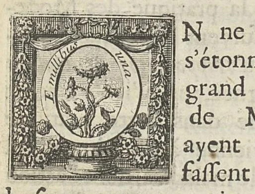 An illustration from L'art de saigner, accommodé aux principes de la circulation du sang..., 1686, leaf 56