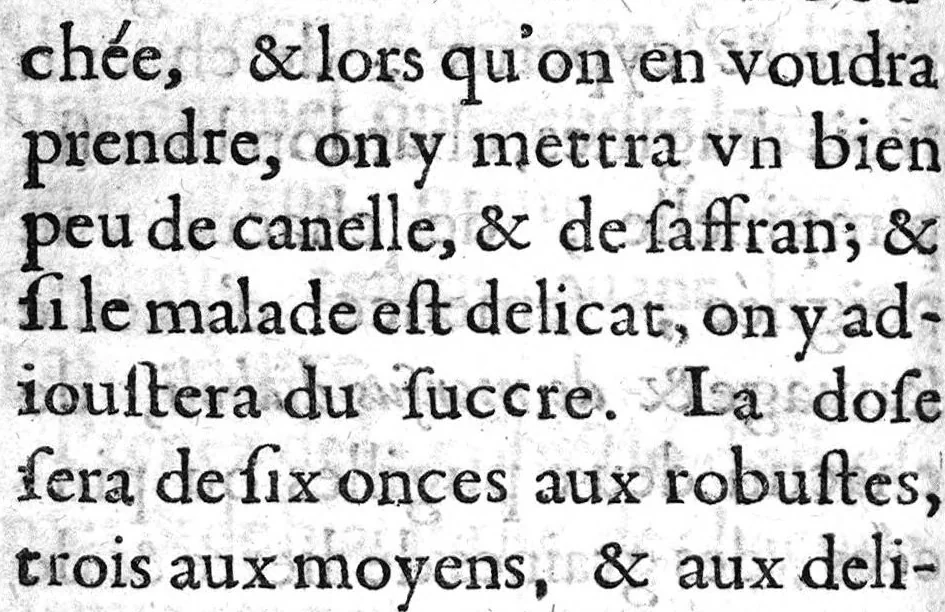 An illustration from Le preservatif contre la peste avec moyen de garir ceux qui en sont affligez..., 1621, leaf 35