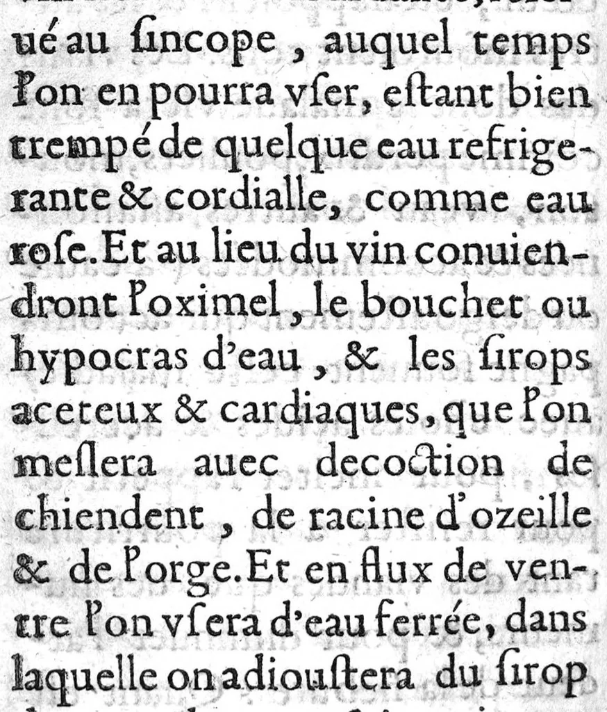An illustration from Le preservatif contre la peste avec moyen de garir ceux qui en sont affligez..., 1621, leaf 43