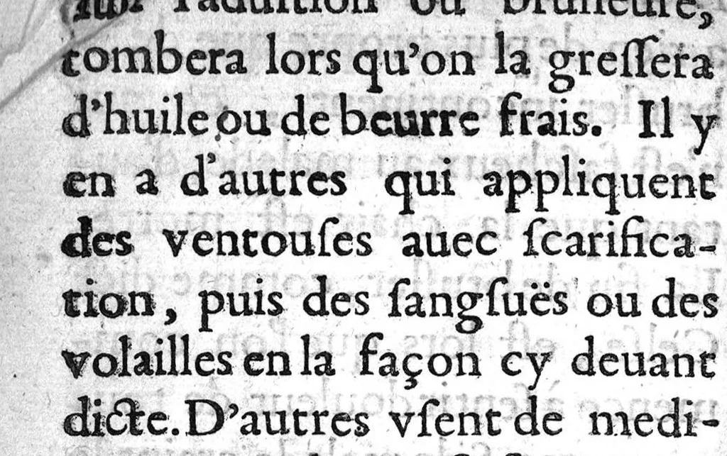 An illustration from Le preservatif contre la peste avec moyen de garir ceux qui en sont affligez..., 1621, leaf 57