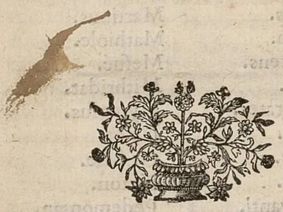 An illustration from Le Miroir des urines par lesquels on voit & on connoit les différents temperamens.., 1696, leaf 15