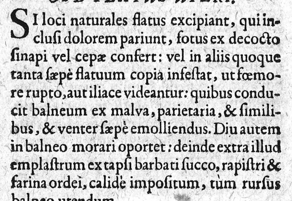 An illustration from Gynaeciorum commentarius, 1616, leaf 32