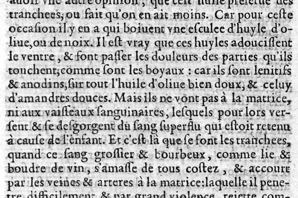 An illustration from La premiere et seconde partie des erreurs populaires, touchant la Medecine et le regime de santé. Par M. Laur. Joubert, Conseiller et Medecin ordinaire du Roy de France et de Navarre, premier Docteur Regent, Chancelier et Juge de l’Université de Medecine de Montpellier. Avec plusieurs autres petits traitez, lesquels sont specifiez en la page suyvante, 1601, leaf 178