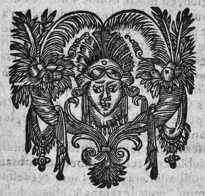 An illustration from Methode pour bien seigner, utile à tous chirurgiens, ou est amplement traicté l'artifice de bien pratiquer la seignee...oar Jean Bonnart...dédié à monsieur Hennequin, 1628, leaf 290