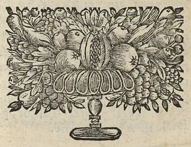 An illustration from Apologie pour les medecins contre ceux qui les accusent de n'avoir point de religion, 1663, leaf 204