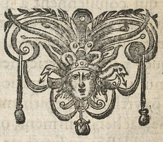 An illustration from Le nouveau medecin charitable divisé en trois parties. Enseignant par ordre alphabétique les noms, qualitez, facultez...nouvelle edition, reveuë & corrigée par l'Auteur, 1671, leaf 358