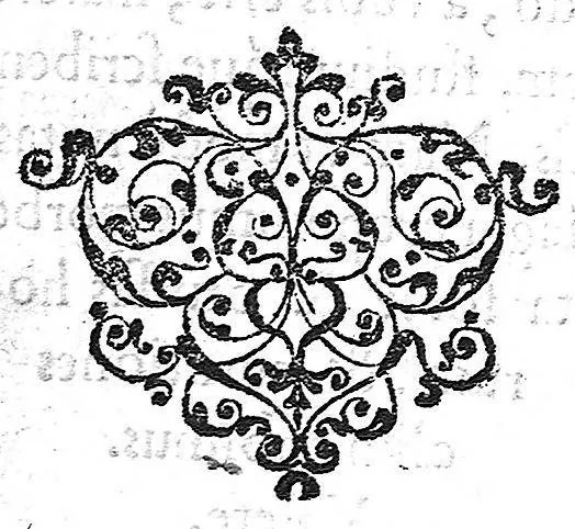 An illustration from Medicinalium observationum libri tres, 1560, leaf 15