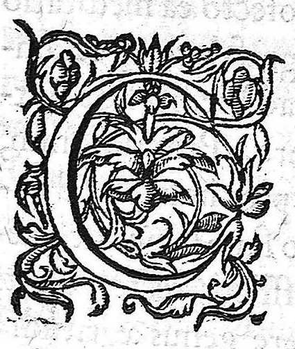An illustration from Medicinalium observationum libri tres, 1560, leaf 2
