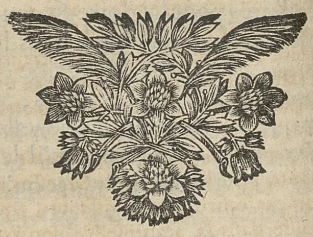 An illustration from Les Oeuvres d'Hippocrate traduites en françois, avis des remarques et conferées sur les manuscripts de la Bibliothèque du Roy. tome premier, 1697, leaf 393