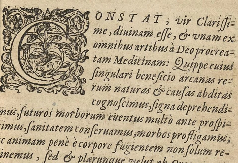 An illustration from Jacobi Hollerii In Aphorismos Hippocratis commentarii septem. Recens per Joan. Liebautium in lucem editi : ejusdem scholiis doctissimis illustrati., 1620, leaf 10