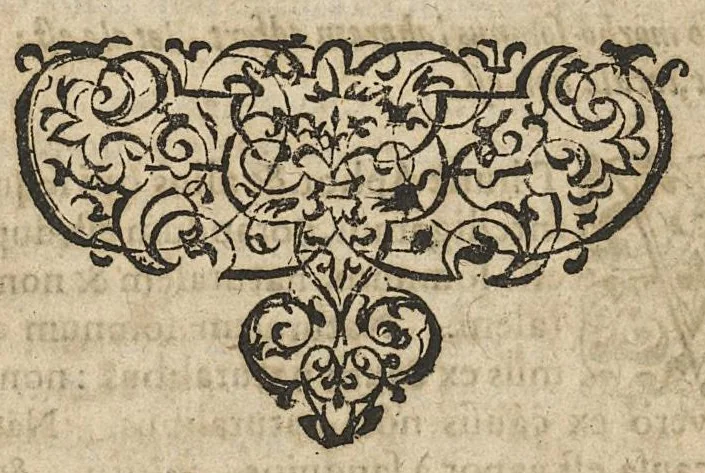 An illustration from Jacobi Hollerii In Aphorismos Hippocratis commentarii septem. Recens per Joan. Liebautium in lucem editi : ejusdem scholiis doctissimis illustrati., 1620, leaf 118