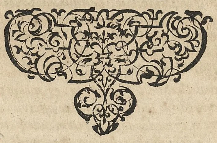 An illustration from Jacobi Hollerii In Aphorismos Hippocratis commentarii septem. Recens per Joan. Liebautium in lucem editi : ejusdem scholiis doctissimis illustrati., 1620, leaf 20