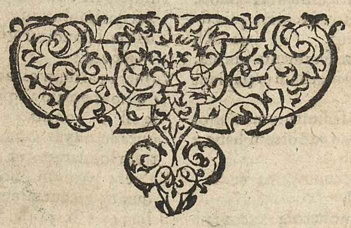 An illustration from Jacobi Hollerii In Aphorismos Hippocratis commentarii septem. Recens per Joan. Liebautium in lucem editi : ejusdem scholiis doctissimis illustrati., 1620, leaf 995