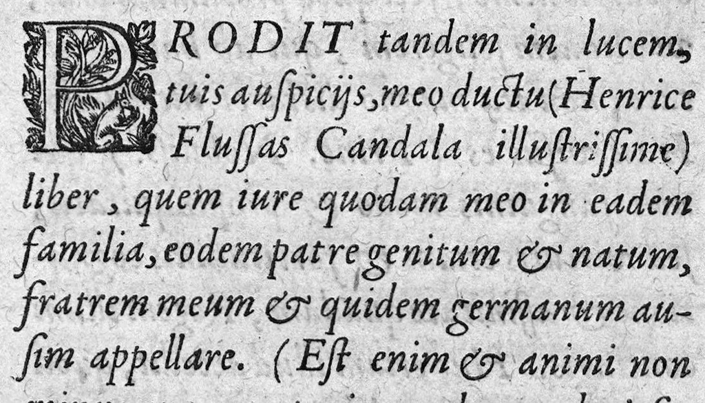 An illustration from Hippocratis Chirurgia de Medico; de vulneribus; de hæmorrhoidibus; de fistulis; de vulneribus capitis, nunc primum Graece restituta, Latinitate donata, et commentariis illustrata. A. Steph. Manialdo ..., 1619, leaf 10