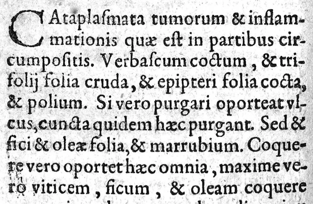 An illustration from Hippocratis Chirurgia de Medico; de vulneribus; de hæmorrhoidibus; de fistulis; de vulneribus capitis, nunc primum Graece restituta, Latinitate donata, et commentariis illustrata. A. Steph. Manialdo ..., 1619, leaf 129