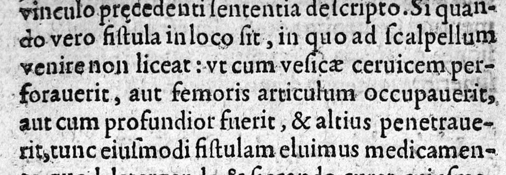 An illustration from Hippocratis Chirurgia de Medico; de vulneribus; de hæmorrhoidibus; de fistulis; de vulneribus capitis, nunc primum Graece restituta, Latinitate donata, et commentariis illustrata. A. Steph. Manialdo ..., 1619, leaf 284