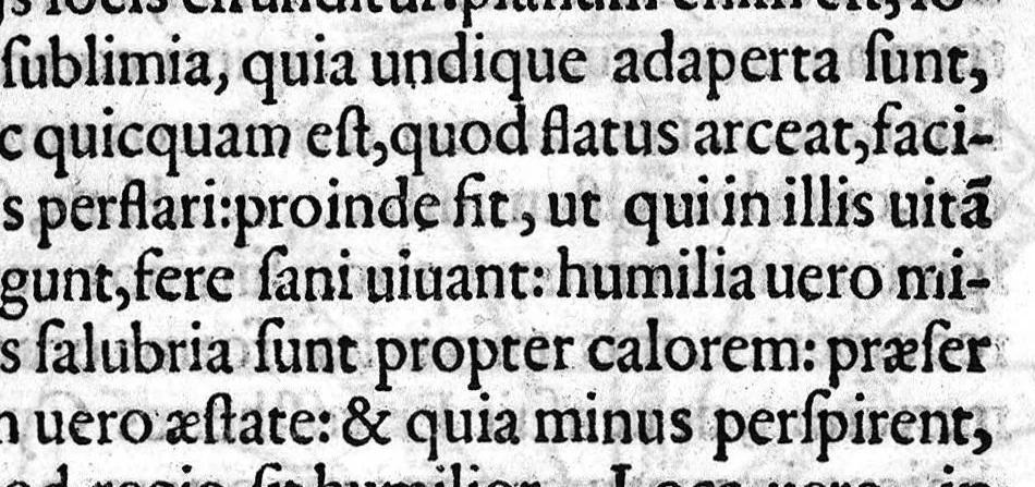 An illustration from Galeni In Hippocratis librum de humoribus commentarii tres, ejusdem Reliquum sexti commentarii in sextum de vulgaribus morbis, itemque septimus et octavus, nuper in lucem editi ac latinitate donati, Jo. Baptista Rasario interprete, 1562, leaf 378