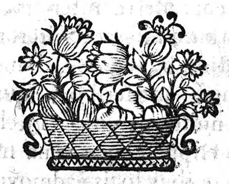 An illustration from Hippocrates : de inustionibus, sive fonticulis... autore Raymundo Restaurant... Adjuncta est Oeconomia physiologicorum Hippocratis redivivi, 1681, leaf 49