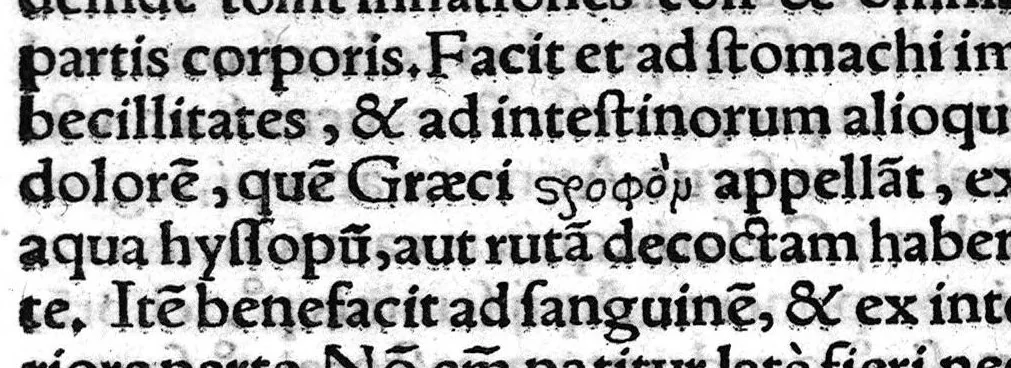 An illustration from Scribonii Largi,... de Compositione medicamentorum liber, jampridem Jo. Ruellii opera e tenebris erutus... Antonii Benivenii libellus de abditis... ac mirandis morborum et sanationum causis. Polybus de salubri victus ratione privatorum, Guinterio Joanne Andernaco interprete, 1529, leaf 103