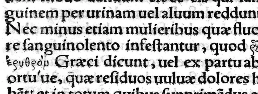 An illustration from Scribonii Largi,... de Compositione medicamentorum liber, jampridem Jo. Ruellii opera e tenebris erutus... Antonii Benivenii libellus de abditis... ac mirandis morborum et sanationum causis. Polybus de salubri victus ratione privatorum, Guinterio Joanne Andernaco interprete, 1529, leaf 103