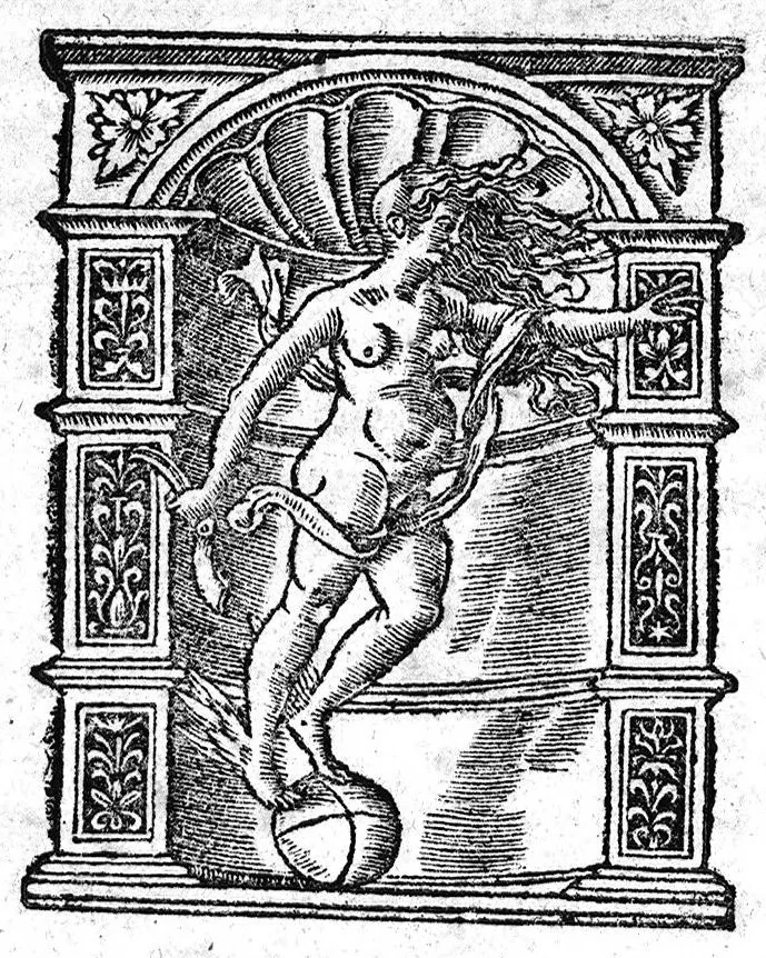 An illustration from Scribonii Largi,... de Compositione medicamentorum liber, jampridem Jo. Ruellii opera e tenebris erutus... Antonii Benivenii libellus de abditis... ac mirandis morborum et sanationum causis. Polybus de salubri victus ratione privatorum, Guinterio Joanne Andernaco interprete, 1529, leaf 335
