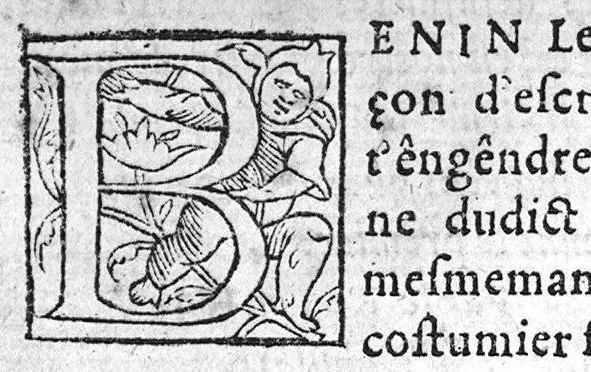An illustration from Galen sur la faculté des simples medicamens avec l’addiction de Fucse en son herbier, de Silvius, et de plusieurs autres, Declayree l’analogie, et potissime sinnifié si plusieurs en a le simple. Et quels par affinité de facultez sont antiballomenes c’est a dire surrogeables que l’on appelle quid pro quo. Le tout mis en langage françoys par studieux home maystre Ervé Fayard natif de Perigueux, 1548, leaf 5