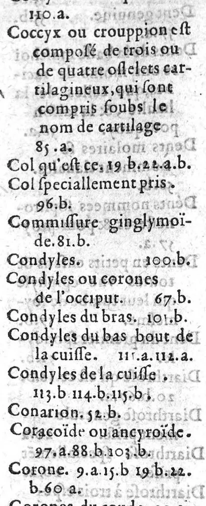 An illustration from Le livre des oz de Cl. Galien aux apprentis en Medecine, traduit de Grec en François, et illustré des commentaires de Jaques Sylvius lecteur du Roy en Medecine à Paris, aussi translatez de Latin en François. Par maistre Jean Loïne, demourant A Orleans,, 1561, leaf 252