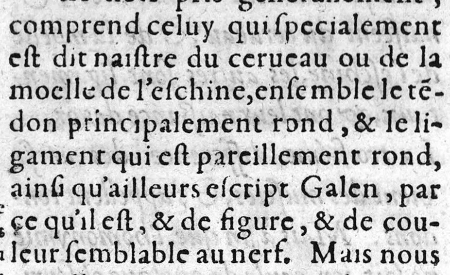 An illustration from Le livre des oz de Cl. Galien aux apprentis en Medecine, traduit de Grec en François, et illustré des commentaires de Jaques Sylvius lecteur du Roy en Medecine à Paris, aussi translatez de Latin en François. Par maistre Jean Loïne, demourant A Orleans,, 1561, leaf 65
