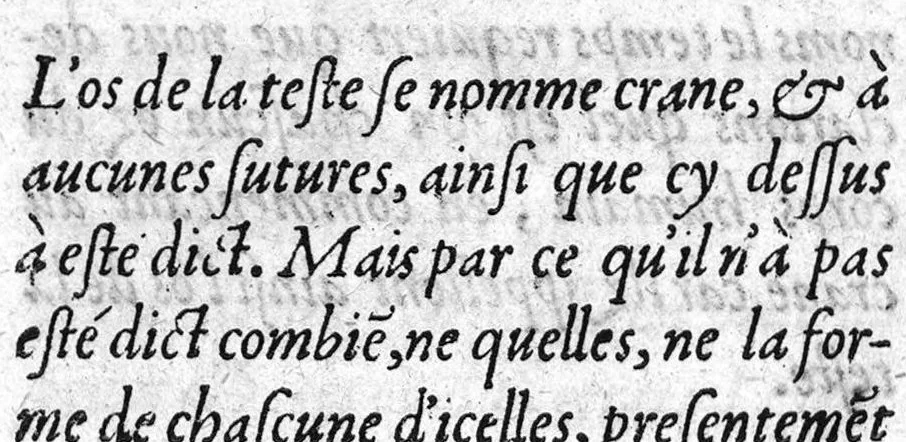 An illustration from Le livre des oz de Cl. Galien aux apprentis en Medecine, traduit de Grec en François, et illustré des commentaires de Jaques Sylvius lecteur du Roy en Medecine à Paris, aussi translatez de Latin en François. Par maistre Jean Loïne, demourant A Orleans,, 1561, leaf 65