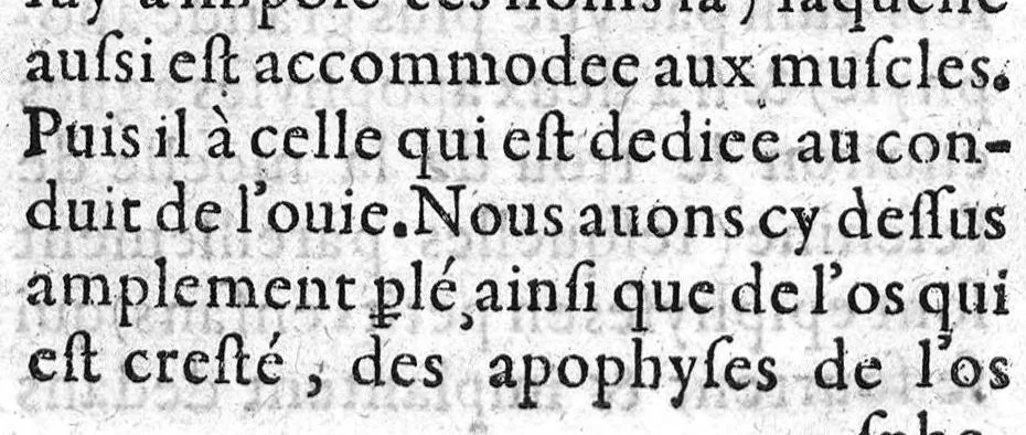 An illustration from Le livre des oz de Cl. Galien aux apprentis en Medecine, traduit de Grec en François, et illustré des commentaires de Jaques Sylvius lecteur du Roy en Medecine à Paris, aussi translatez de Latin en François. Par maistre Jean Loïne, demourant A Orleans,, 1561, leaf 87