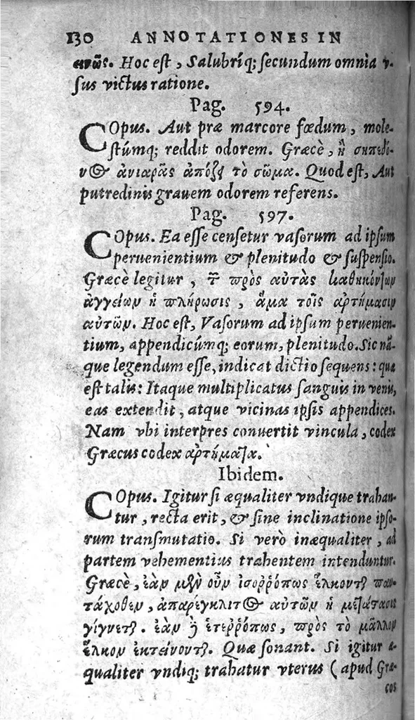 An illustration from Annotationes in Galeni interpretes : quibus varii loci, in quos hactenus impegerunt lectores, et explicantur, et summa fide restitutuuntur : Andrea Lacuna Secobiensi, Doctore Medico, Milite Sancti Petri autore, 1553, leaf 132
