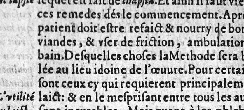 An illustration from Les six principaux livres de la therapeutique de Claude Galien, avec le deuxiesme de l’art curatoire à Glaucon, ausquelz est ajousté le livre des Tumeurs contre nature, necessaires à tous Chirurgiens. Reveu et corrigé de nouveau, 1570, leaf 243