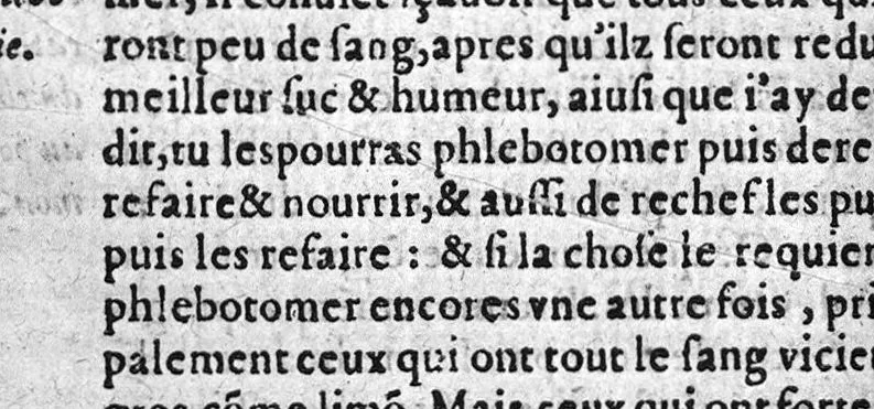 An illustration from Les six principaux livres de la therapeutique de Claude Galien, avec le deuxiesme de l’art curatoire à Glaucon, ausquelz est ajousté le livre des Tumeurs contre nature, necessaires à tous Chirurgiens. Reveu et corrigé de nouveau, 1570, leaf 243