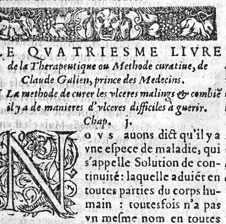 An illustration from Les six principaux livres de la therapeutique de Claude Galien, avec le deuxiesme de l’art curatoire à Glaucon, ausquelz est ajousté le livre des Tumeurs contre nature, necessaires à tous Chirurgiens. Reveu et corrigé de nouveau, 1570, leaf 98