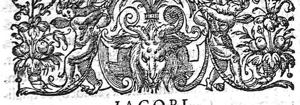 An illustration from De morbis internis, Lib. II, 1572, leaf 48