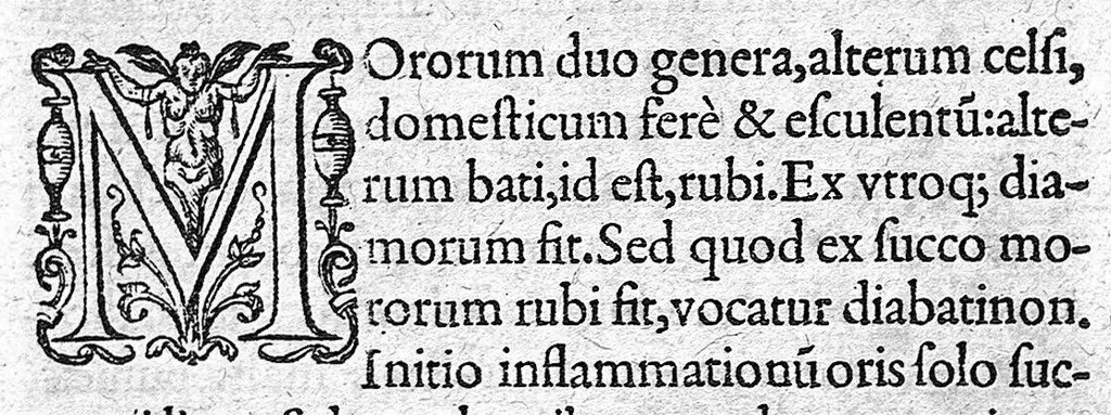 An illustration from Ad libros Gal. de compositione medicamentorum, 1572, leaf 78