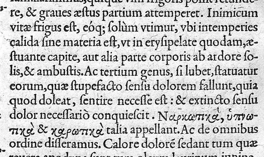 An illustration from De materia chirurgica, 1572, leaf 207